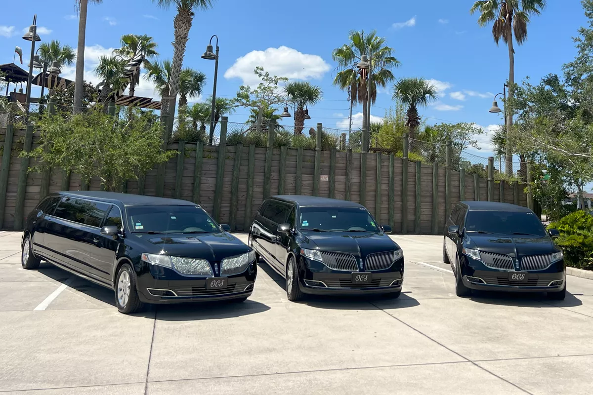 An Ultimate Guide to Stretch Limos: Rental, Services, and More!