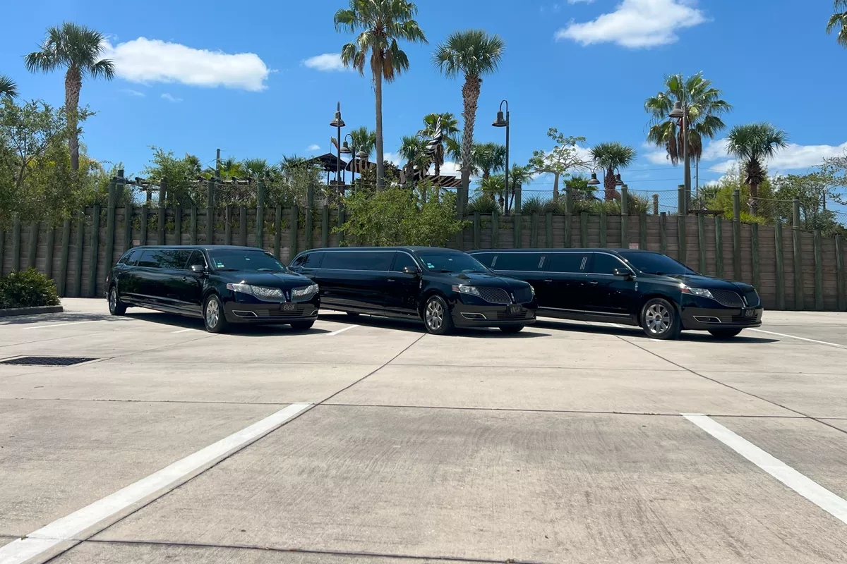Reservations 3 Limousines